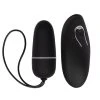 Brand new 😉 Bondara Pleasure Hunt Black 12 Function Remote Control Love Egg 🌟 -LALA Adult Toys Shop unnamed file 387