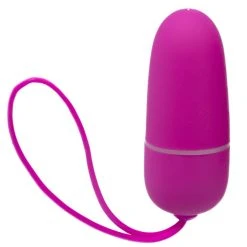 New 😀 Bondara Pleasure Hunt Pink 12 Function Remote Control Love Egg ❤️ -LALA Adult Toys Shop unnamed file 738