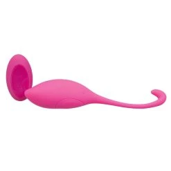 Buy 🥰 Bondara&Sex Pussy-Phoria Pink Rechargeable Remote Control Love Egg 💯